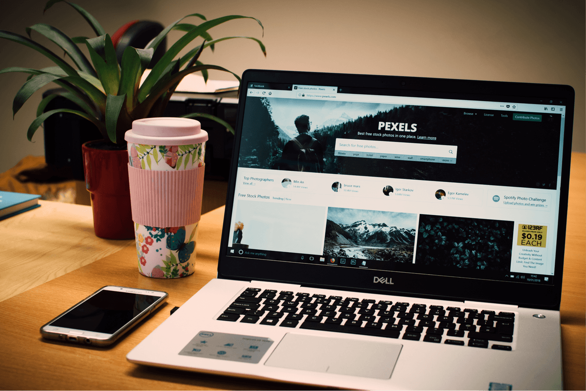 Portfolio Preview